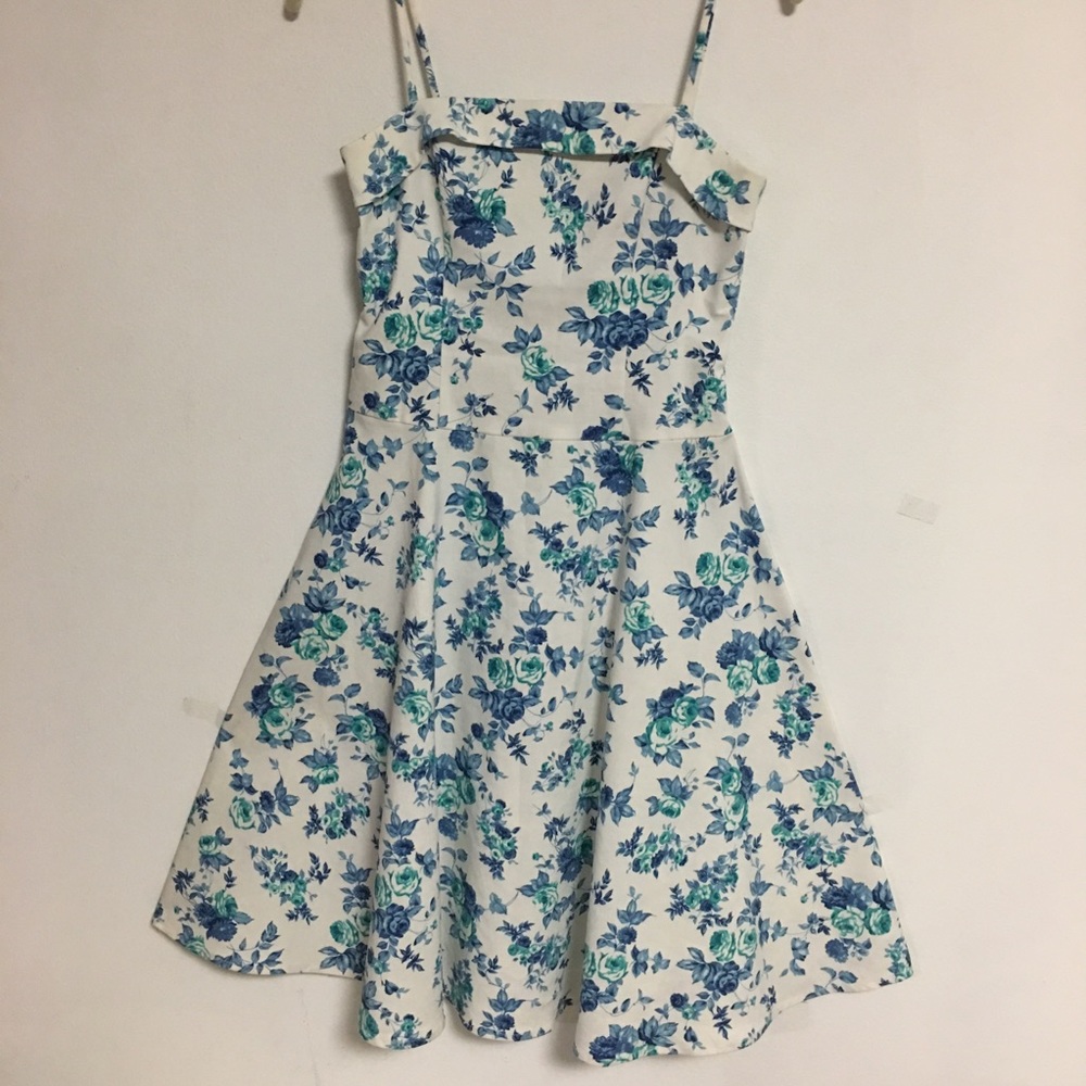 Vintange spring dress